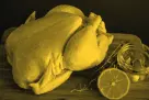 Нейминг и брендинг для новой категории продуктов детского питания - куриного мяса "Фрегат Kids"